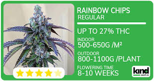 Cannabis Seeds Missouri A Guide to Growing in the Show-Me State